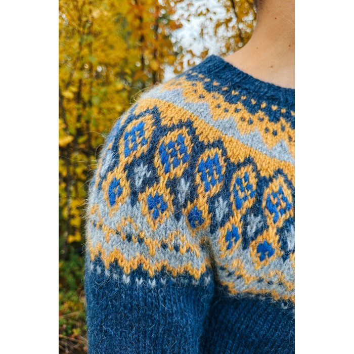 1927 Sweater Herr