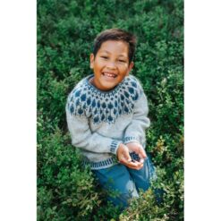 Blueberry Sweater Junior